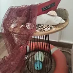 Casa Alvarito בית הארחה פורטונובו